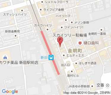 コインズ新田の地図