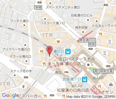 武蔵溝ノ口駅南口周辺自転車等駐車場第1施設の地図